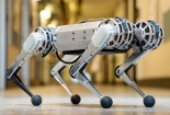 Bùng nổ robot sau đại dịch COVID-19