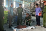 Phân bón giả, hậu quả thật
