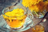 Phát hiện mới: Trà bồ công anh có thể hỗ trợ tiêu diệt các tế bào ung thư