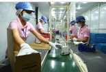 Hà Nội: Không để xảy ra việc nợ lương, thưởng Tết của người lao động