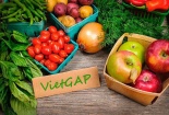 Từ vụ lùm xùm rau VietGap: Tổ chức chứng nhận có nghĩa vụ gì?
