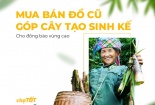 Góp cây tạo sinh kế bền vững cho đồng bào vùng cao