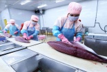 Xuất khẩu thủy sản hướng tới mốc 11 tỷ USD