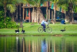 Ecopark và hành trình bền bỉ kiến tạo “gia tài” xúc cảm