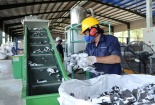 Cộng đồng và doanh nghiệp có trách nhiệm gì với mục tiêu phát thải ròng bằng 0 vào năm 2050?