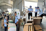 Phát hiện hàng loạt sai phạm tại cơ sở kinh doanh thuốc bảo vệ thực vật ở Đồng Tháp