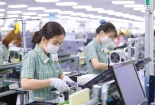 Hỗ trợ doanh nghiệp khởi nghiệp bằng mô hình 'ươm tạo ảo'