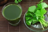 Rau má có khả năng phòng ngừa ung thư hiệu quả 