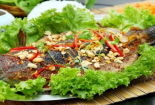 Những loại cá ít dinh dưỡng nhưng nhiều chất độc 