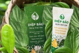 Bộ Y tế lên tiếng về kem Diệp Bảo bôi da trẻ em bị FDA Mỹ thu hồi