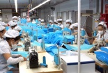 Đổi mới mô hình tăng trưởng, nâng cao năng suất và sức cạnh tranh của nền kinh tế