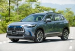Những lưu ý khi lựa chọn dòng xe hybird