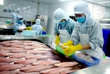 Xuất khẩu thủy sản tháng 1/2023 giảm mạnh