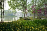 Ecopark đưa vào hoạt động cung đường dạo bộ đẹp nhất miền Bắc