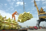 Xuất khẩu gạo của Việt Nam bất ngờ giảm mạnh trong tháng đầu năm
