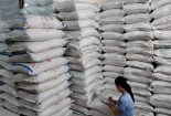 Thu giữ gần 40 tấn đường cát nhập lậu tại 2 hộ kinh doanh trên địa bàn TP.HCM