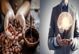 Lợi ích tuyệt vời của ca cao đối với sức khỏe trí não