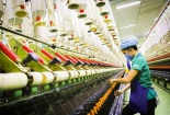 Mục đích và lợi ích của tích hợp hệ thống quản lý với công cụ cải tiến năng suất chất lượng