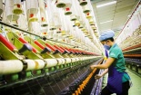 Chương trình 1322: Nâng cao năng lực đội ngũ chuyên gia là nền tảng cải thiện năng suất dài hạn