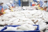 Hàn Quốc nhập khẩu 72 nghìn tấn thủy sản Việt Nam