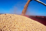 Đề xuất giảm thuế nhập khẩu khô đậu tương từ 2% xuống 0%