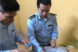 Nguy cơ ngộ độc khi dùng phải tinh dầu đuổi muỗi không rõ nguồn gốc xuất xứ
