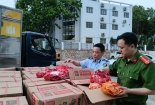 Thu giữ lượng lớn đồ chơi trẻ em nhập lậu