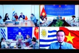Việt Nam- Uruguay tiếp tục thúc đẩy hợp tác thương mại