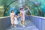 VinWonders tưng bừng khởi động lễ hội hè Wonder Summer 2023