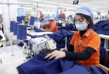 Thực trạng phát triển hạ tầng chất lượng quốc gia của Việt Nam