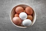 Trứng gà vỏ nâu liệu có tốt hơn trứng gà vỏ trắng?