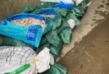 Hà Nội: Phát hiện 975 kg cánh gà không rõ nguồn gốc xuất xứ đã biến đổi màu sắc