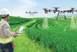 Trí tuệ nhân tạo góp phần tạo ra hệ thống thực phẩm bền vững