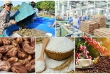 Xây dựng thương hiệu, nâng tầm nông sản Việt