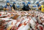 Điểm sáng nào cho xuất khẩu thủy sản nửa cuối năm?