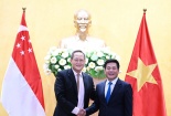 Việt Nam – Singapore: Từng bước hợp quy tiêu chuẩn giữa hai nước, giảm thiểu rủi ro trong xuất khẩu 