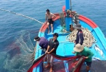 Xử phạt triệt để các hành vi khai thác IUU