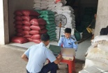 Tạm giữ 52 tấn gạo nhập khẩu không có nhãn phụ tiếng Việt tại tỉnh Bến Tre
