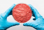 Thịt nhân tạo phát triển vượt bậc phục vụ cho người tiêu dùng