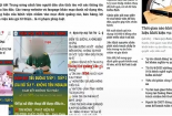 Cần sửa Luật Quảng cáo để ngăn chặn hành vi đe dọa đến quyền lợi của người tiêu dùng