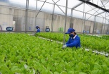 TCVN 11041-1:2017 - yêu cầu chung với sản xuất, chế biến, ghi nhãn sản phẩm nông nghiệp hữu cơ 