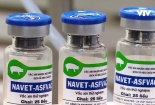 Việt Nam sẽ xuất khẩu 2 triệu liều vaccine phòng bệnh tả lợn châu Phi cho Philippines và Indonesia 