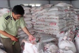 Vật tư nông nghiệp kém chất lượng ảnh hưởng nghiêm trọng đến năng suất, chất lượng cây trồng