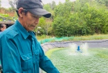 Nâng cao giá trị cho cá chình bông Phú Yên