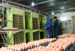 Quảng Ninh: Hỗ trợ doanh nghiệp nâng cao năng suất, chất lượng