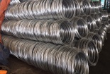 EU khởi xướng điều tra chống lẩn tránh thuế với thép không gỉ cán nguội