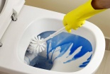 Sử dụng chất tẩy rửa bồn cầu không đúng cách nguy cơ hại sức khỏe