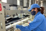 Tiêu chuẩn ISO/TR 56004: Cung cấp cách thức, kế hoạch, kết quả hoạt động quản lý đổi mới sáng tạo