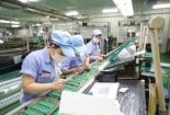 Hậu Giang: Đẩy mạnh hoạt động hỗ trợ doanh nghiệp nâng cao năng suất chất lượng 