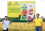 PVCFC tiên phong nghiên cứu, ứng dụng công nghệ tiên tiến sản xuất đạm hạt đục và NPK một hạt